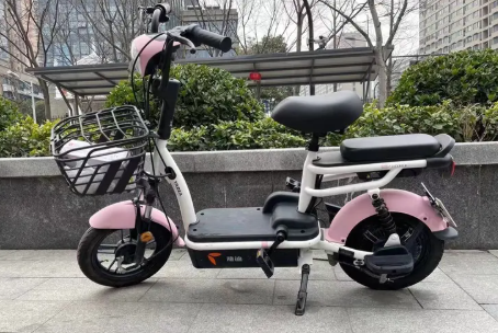 租赁电动车100一个月